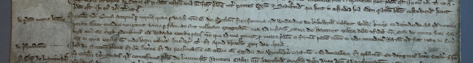 C 66/83, m. 19. Pardon for Wodard of Kibworth.