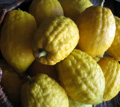 Citrons